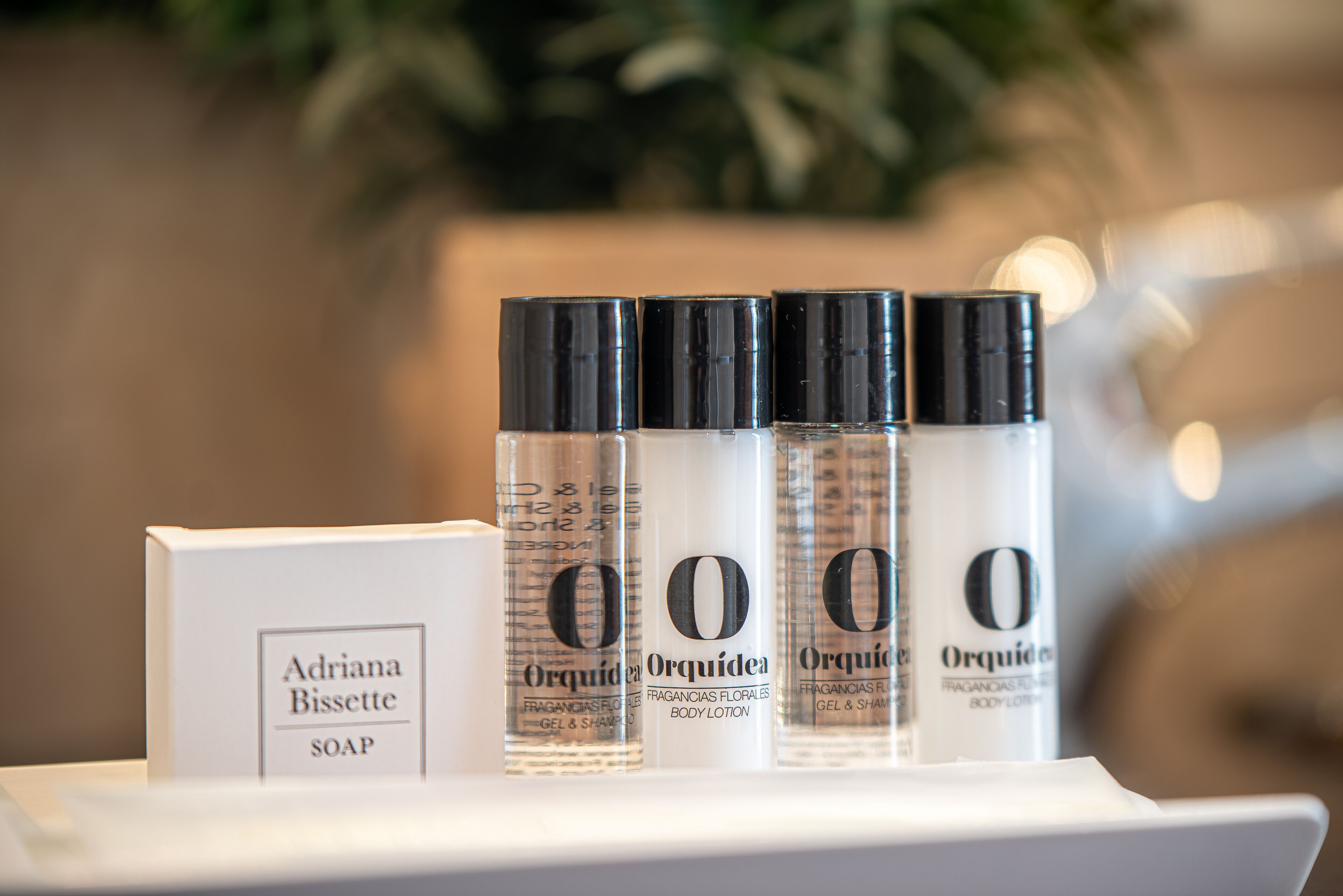 combined shower/bathtub, eco-friendly toiletries, bidet, towels