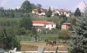 A rural landscape with houses on a hill, a clear sky, and two horses in the foreground. - Leonardo (Vinci)
