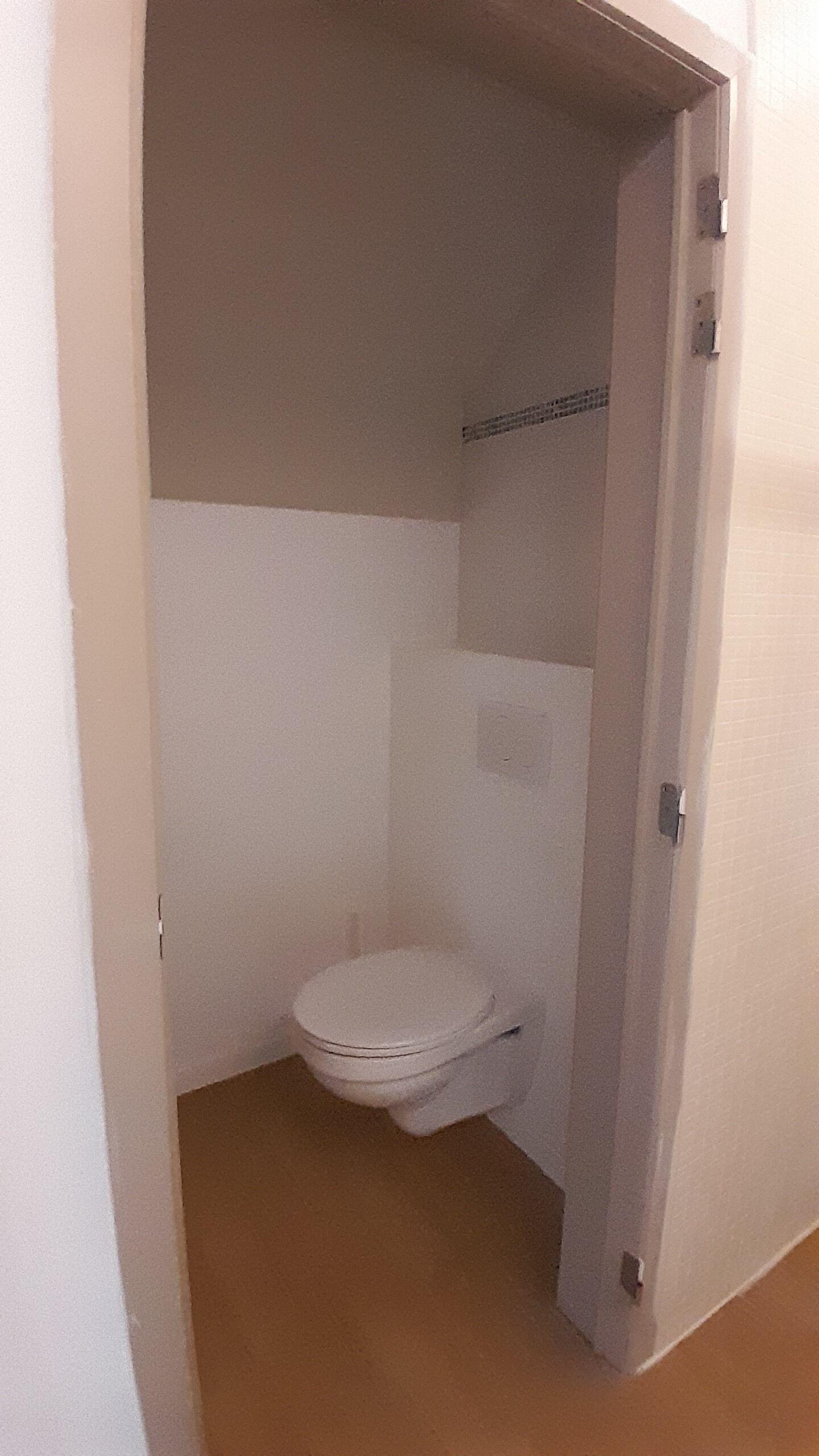 A small, narrow bathroom with a white toilet and a shower stall.