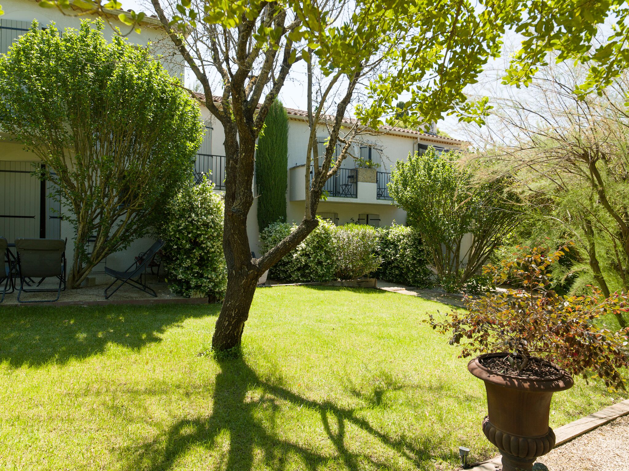 Un jardín bien cuidado con césped, un árbol y una planta en maceta.