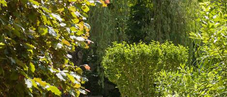 A garden pathway surrounded by lush greenery and trees.