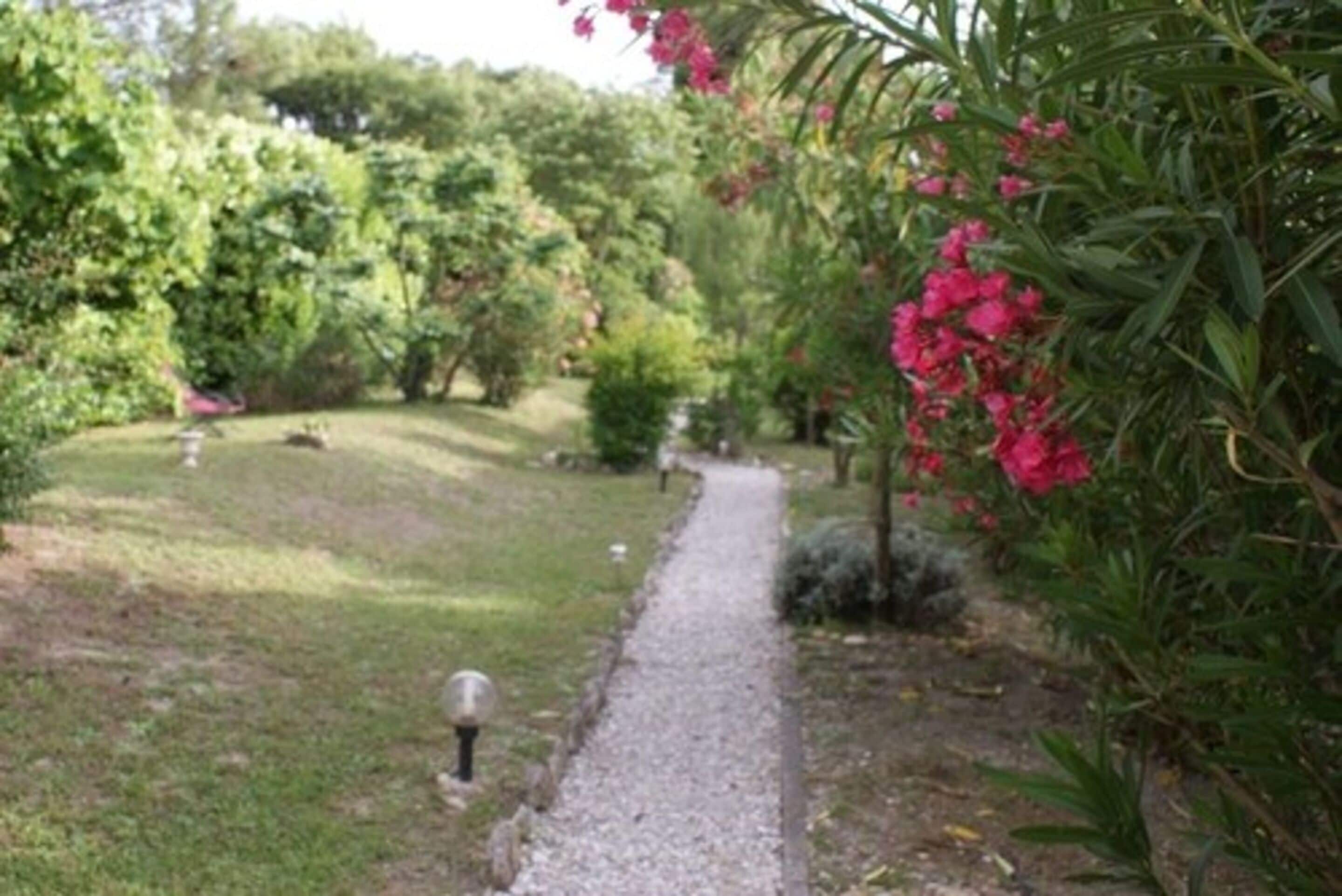 A garden pathway with a gravel surface, surrounded by lush greenery and flowering plants.