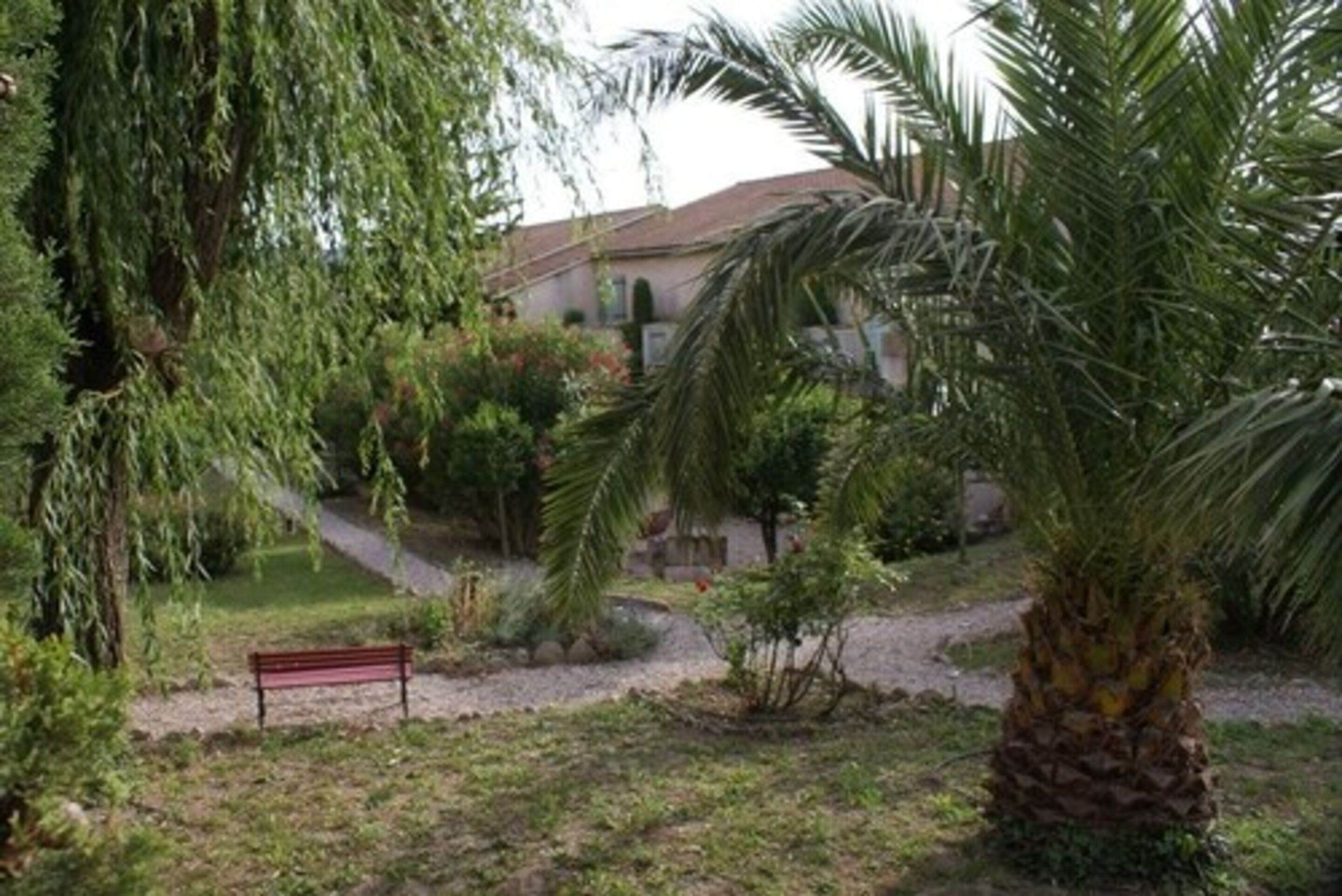 A garden with a bench, palm trees, and a building in the background.