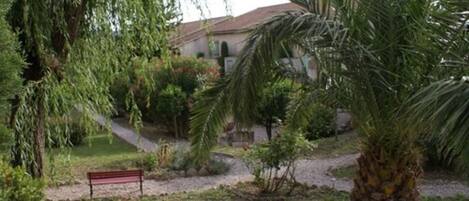 A garden with a bench, palm trees, and a building in the background.