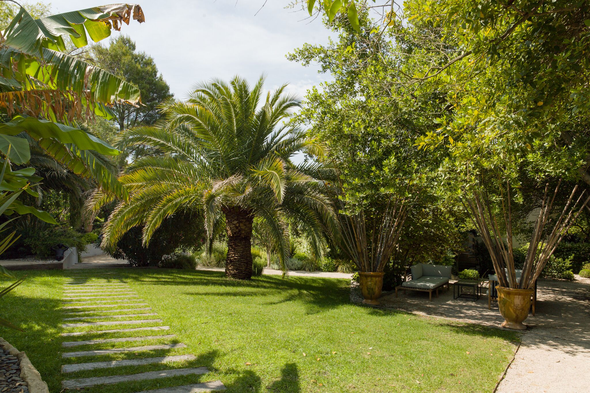 Un jardin bien entretenu, agrémenté d’un chemin de pierres, de palmiers et de plantes en pot.