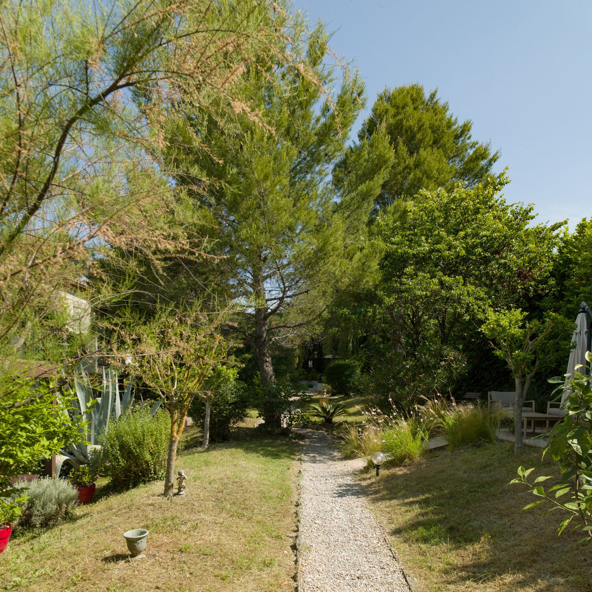 A garden pathway surrounded by various trees and plants.