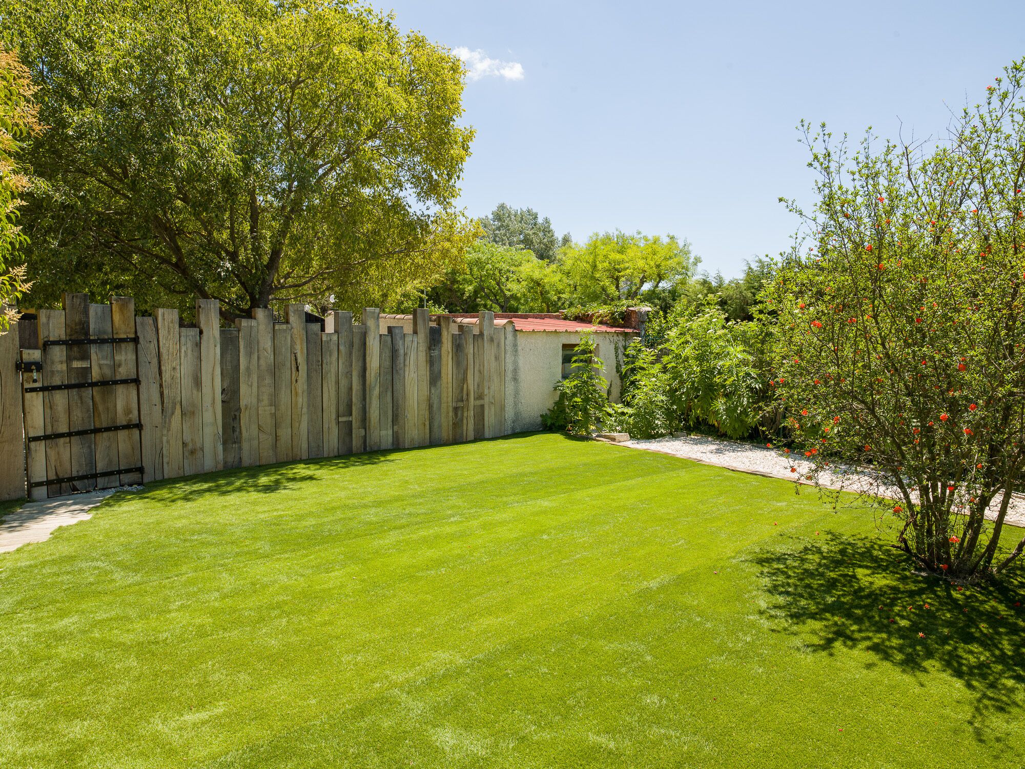 A well-maintained backyard with a wooden fence, a lawn, and various trees.