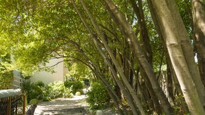 A pathway lined with trees, a stone bench, and a small dog. - Hotel de Charme L'Amandière (St.-Rémy-de-Provence)