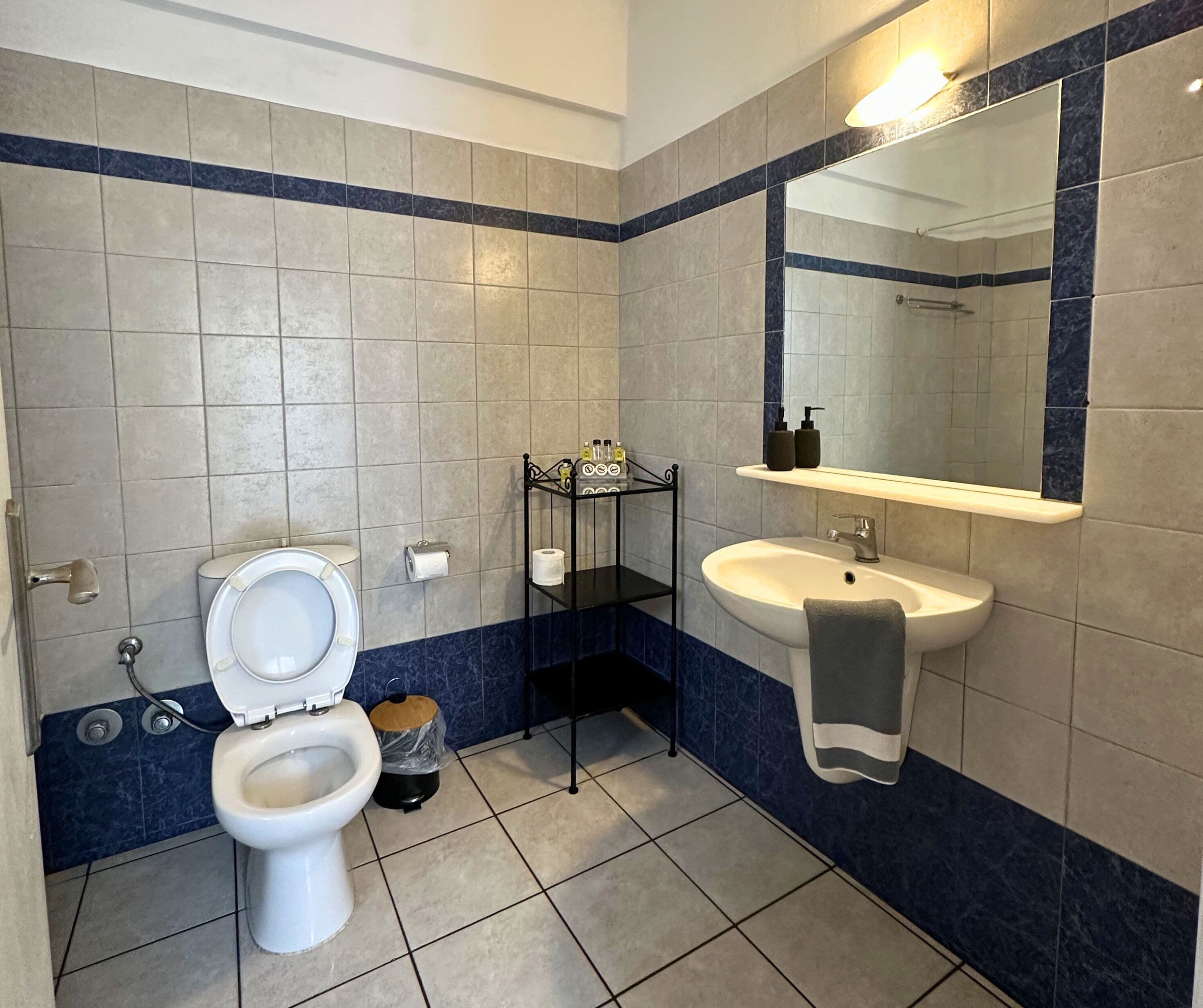 Foto - Irigeneia Hotel