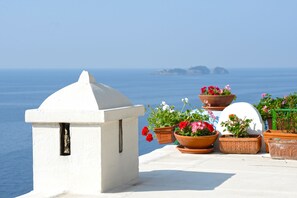 Terrace/patio - Palazzo Talamo (Positano)