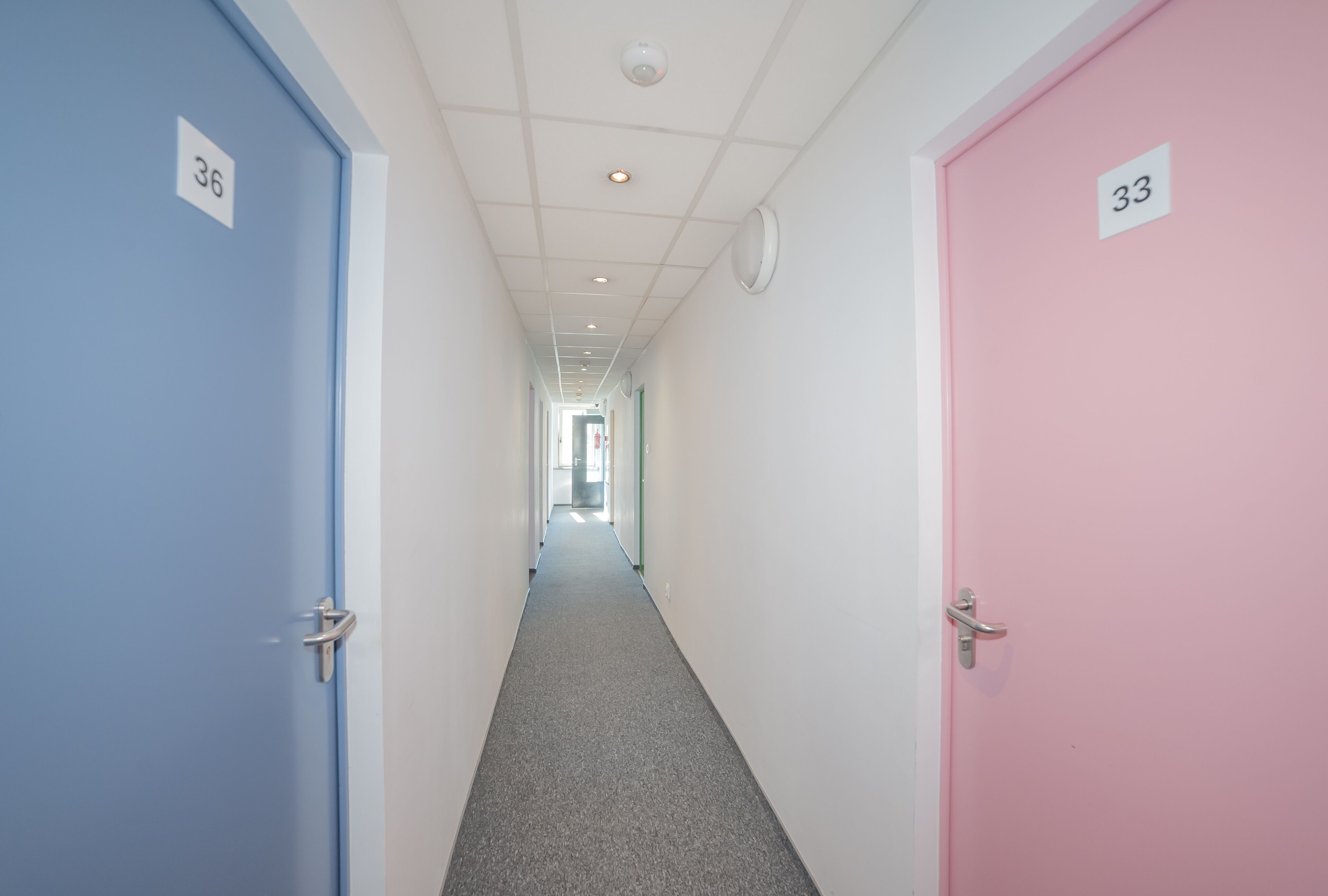 Foto - Tatamka Hostel