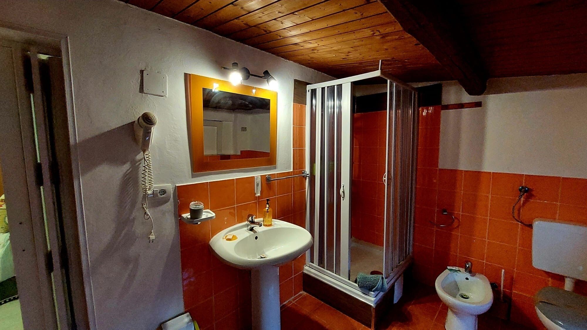 A bathroom with a sink, mirror, and shower.