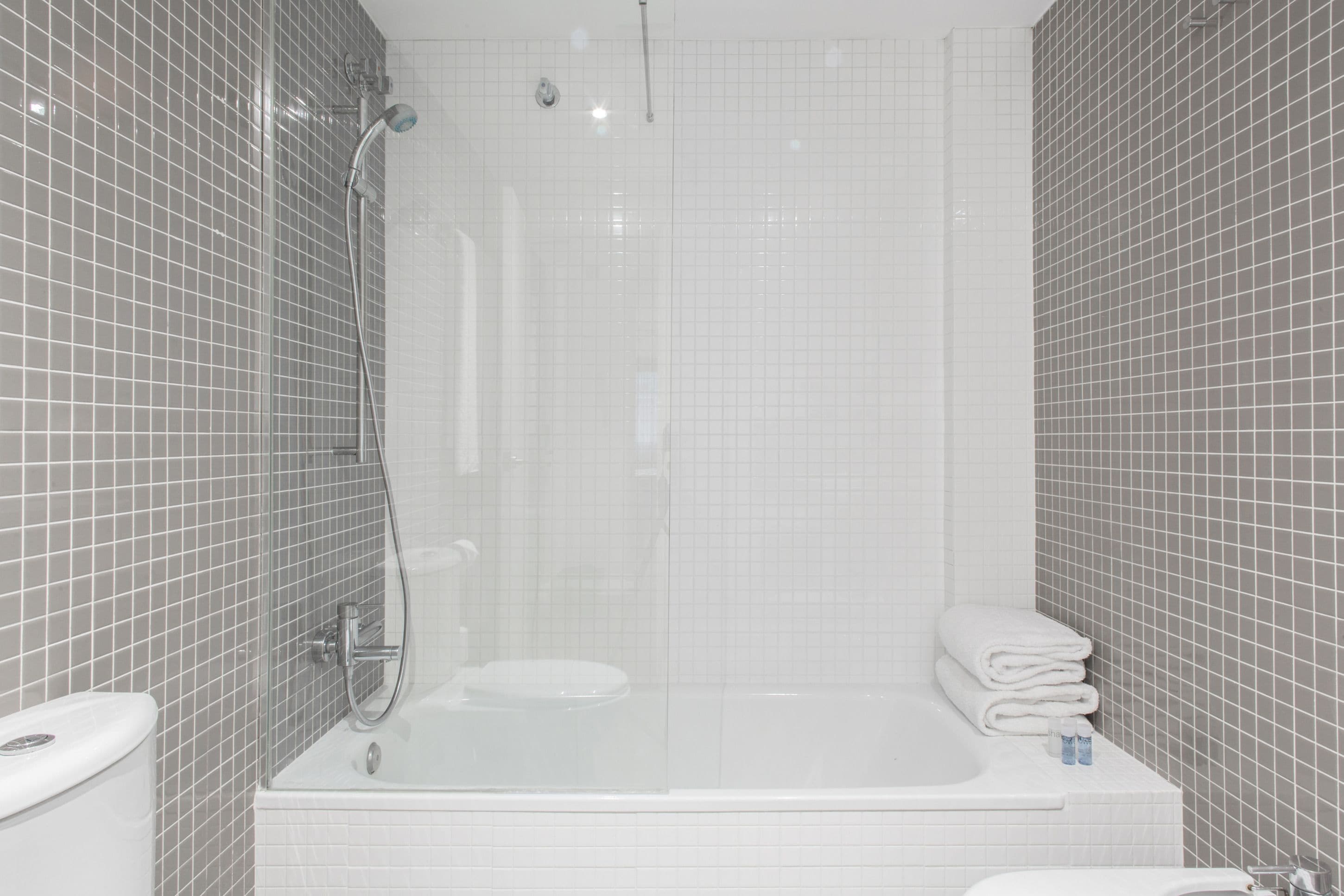 Une salle de bain moderne avec une douche à parois de verre, une baignoire blanche et des toilettes.