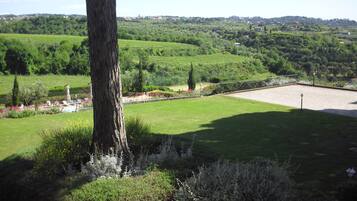 Vista dalla struttura