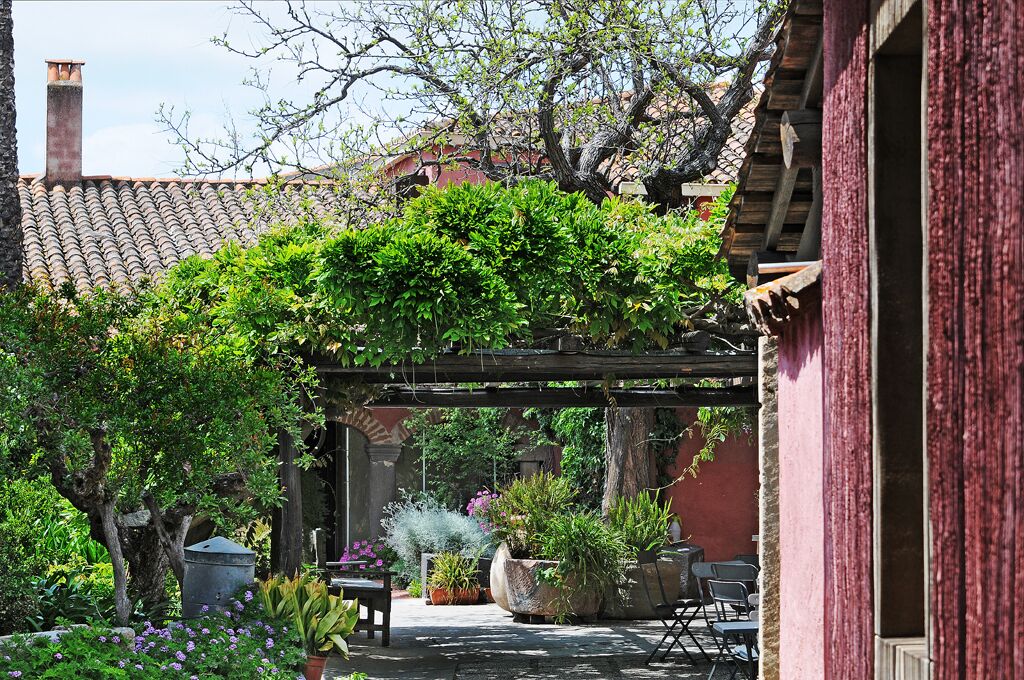 A garden with a pergola, potted plants, and outdoor seating.