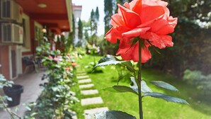 Economy Single Room | Garden view - Leonardo (Skopje)
