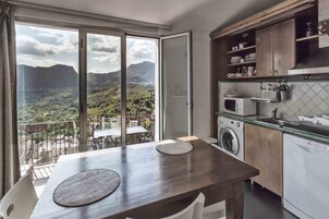 Panoramic Apartment, 3 Bedrooms, Kitchen | Private kitchen | Stovetop