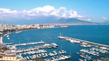 Thân thiện với vật nuôi