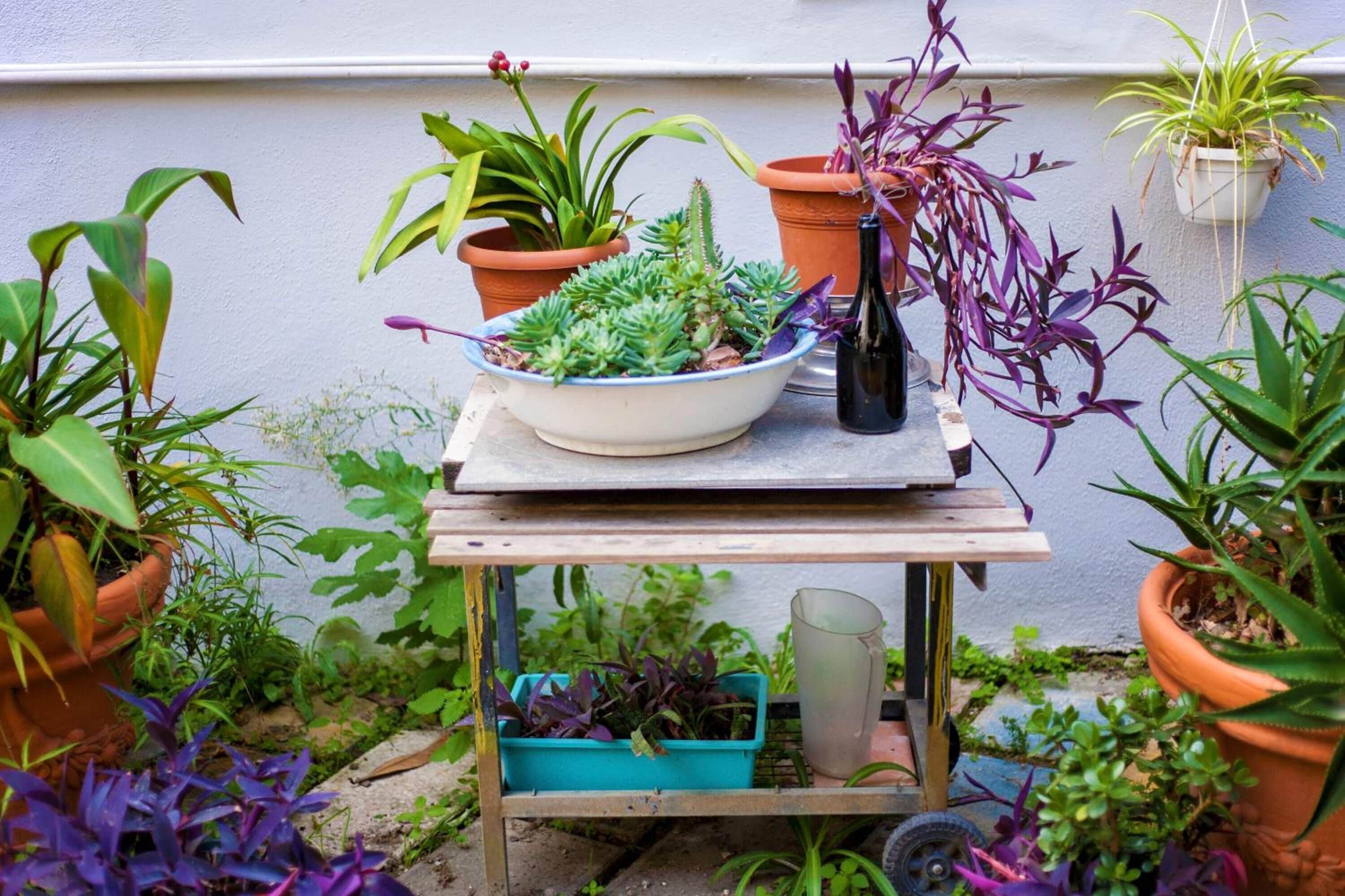 Foto - La Controra Hostel Naples