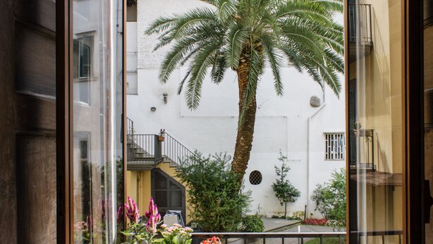 Een balkon met planten in potten en uitzicht op een wit gebouw met een palmboom.