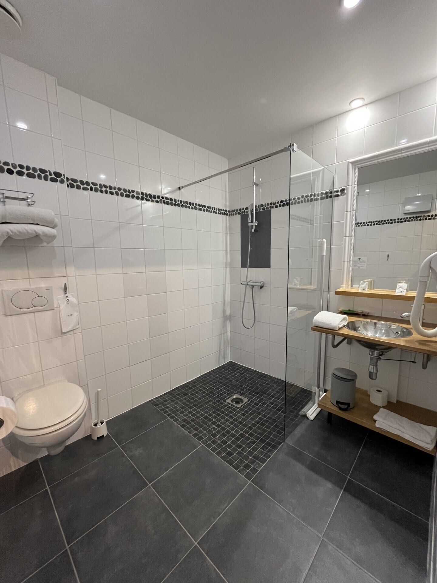 A modern bathroom with a shower, toilet, and sink.