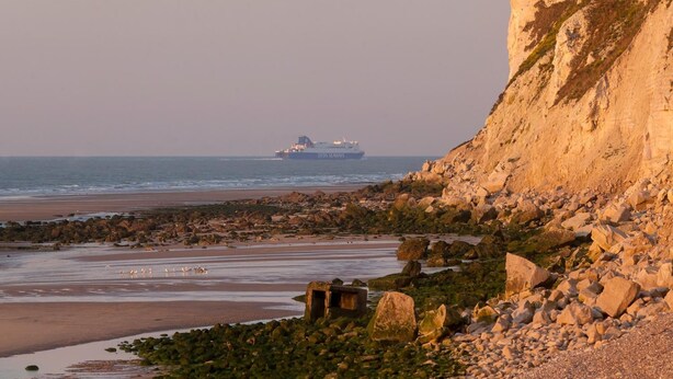 A coastal landscape with a rocky beach and a large ship in the distance. - Hôtel Saint Jean (Wimereux)