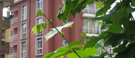 Barbecue/picknickplaats