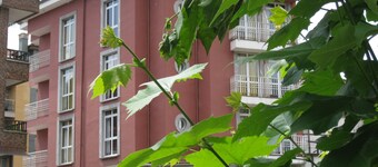 Hotel Los Acebos Cangas