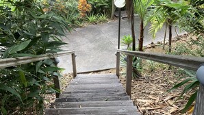 Escadaria de madeira que leva a um caminho rodeado por vegetação exuberante e palmeiras.