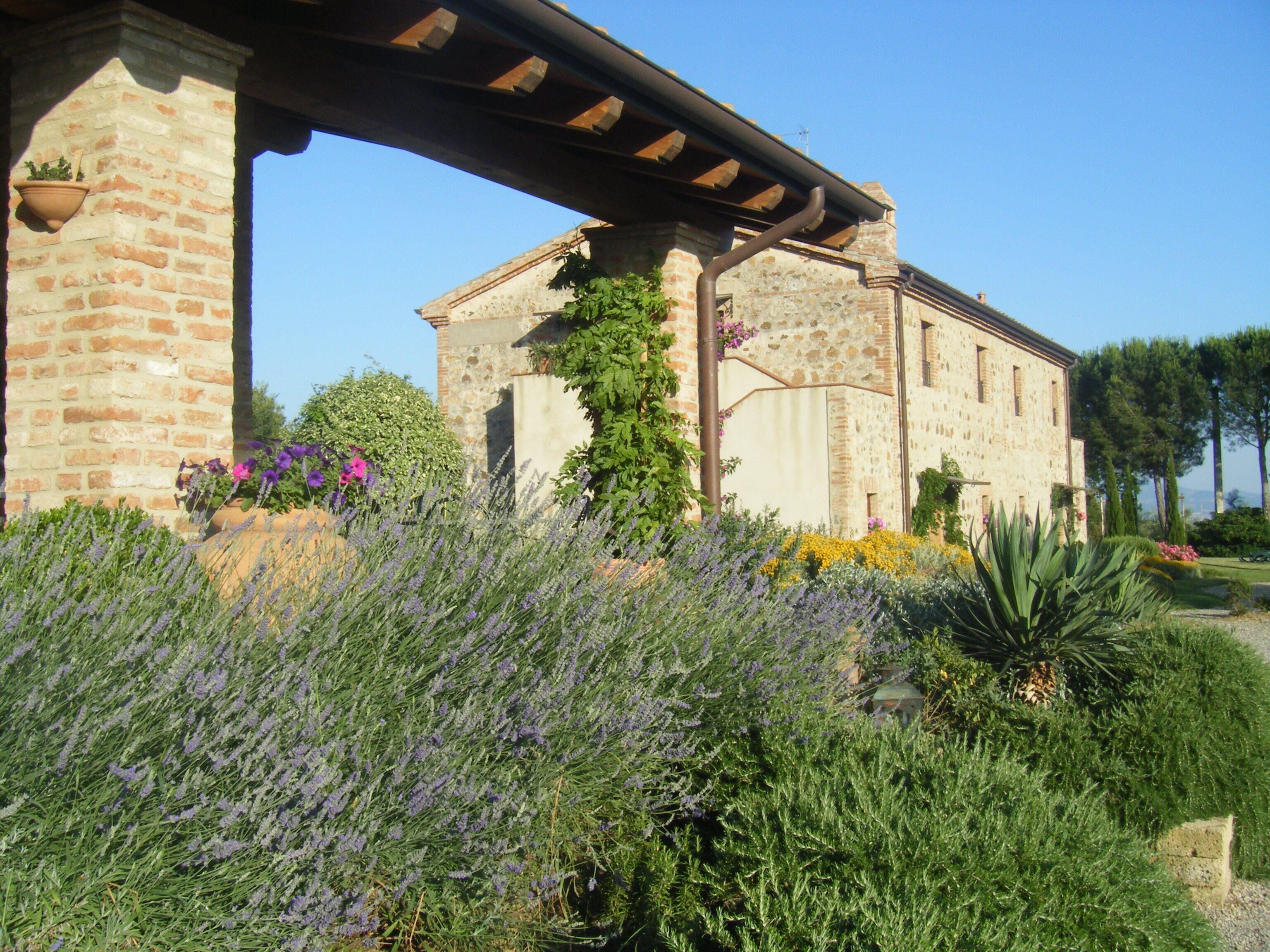 Un edificio de piedra con fachada rústica, una pérgola de madera y abundantes macetas con lavanda y otras flores.