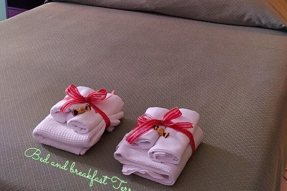 Ropa de cama hipoalergénica, camas con pillow-top y minibar
