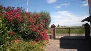Property grounds - La Cascina di Alice (Castiglione delle Stiviere)