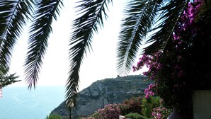 Jardín