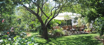 Hotel Gulec