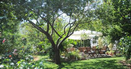 Hotel Gulec