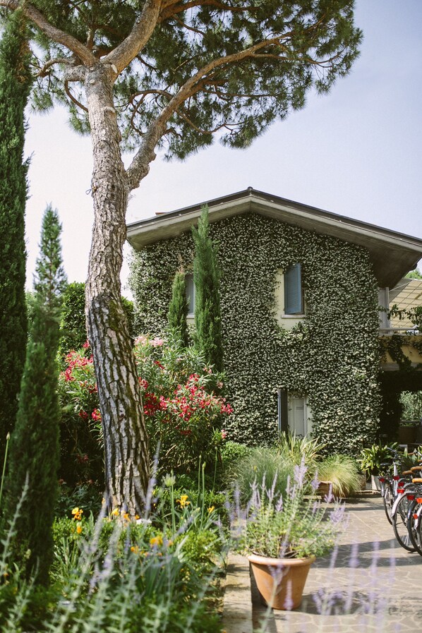 A house with ivy-covered walls, a tree in the foreground, and a bicycle parked outside. - Hotel Piccola Vela (Desenzano del Garda)