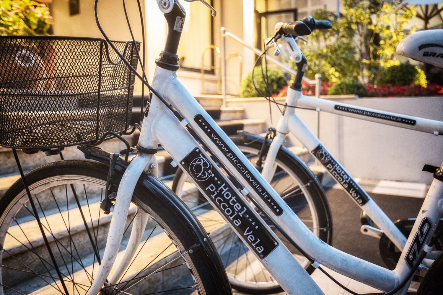 Foto - Hotel Piccola Vela