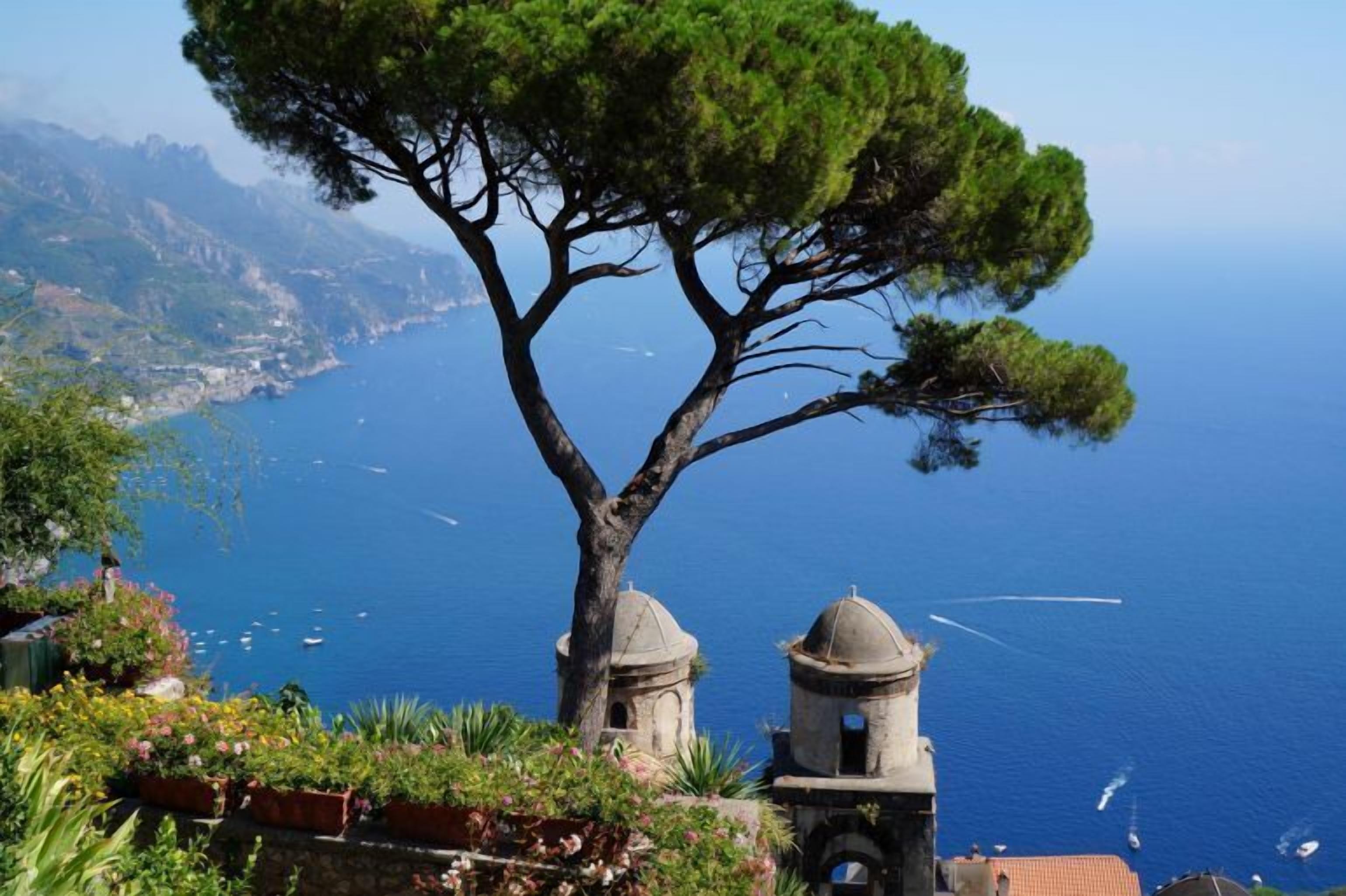 A coastal view with a prominent tree, a bell tower, and a clear blue sea.