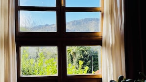 Una habitación con un ventanal grande, suelo de madera y una planta en maceta sobre una mesa.