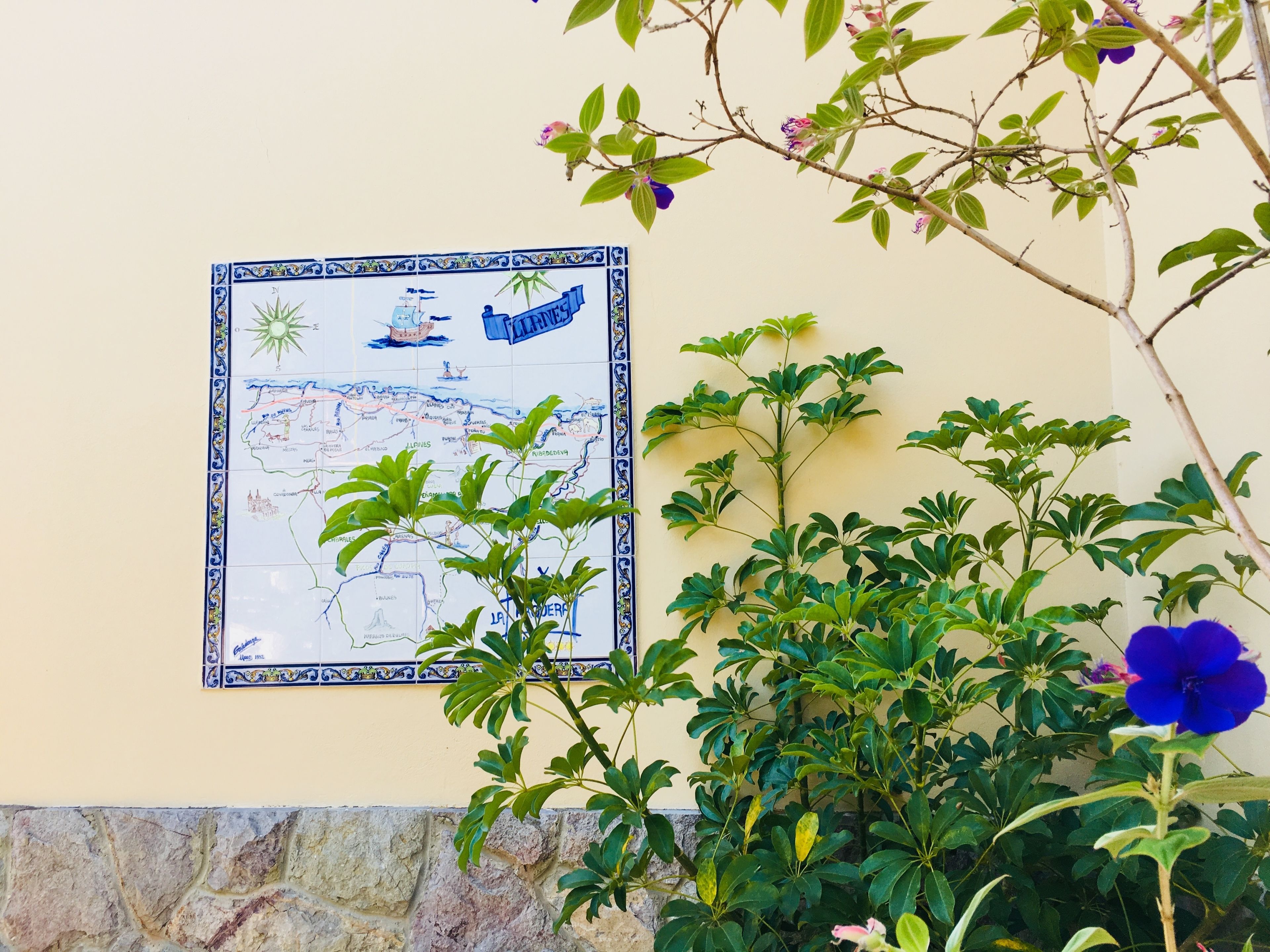 A map with a compass rose and a ship illustration on a wall.