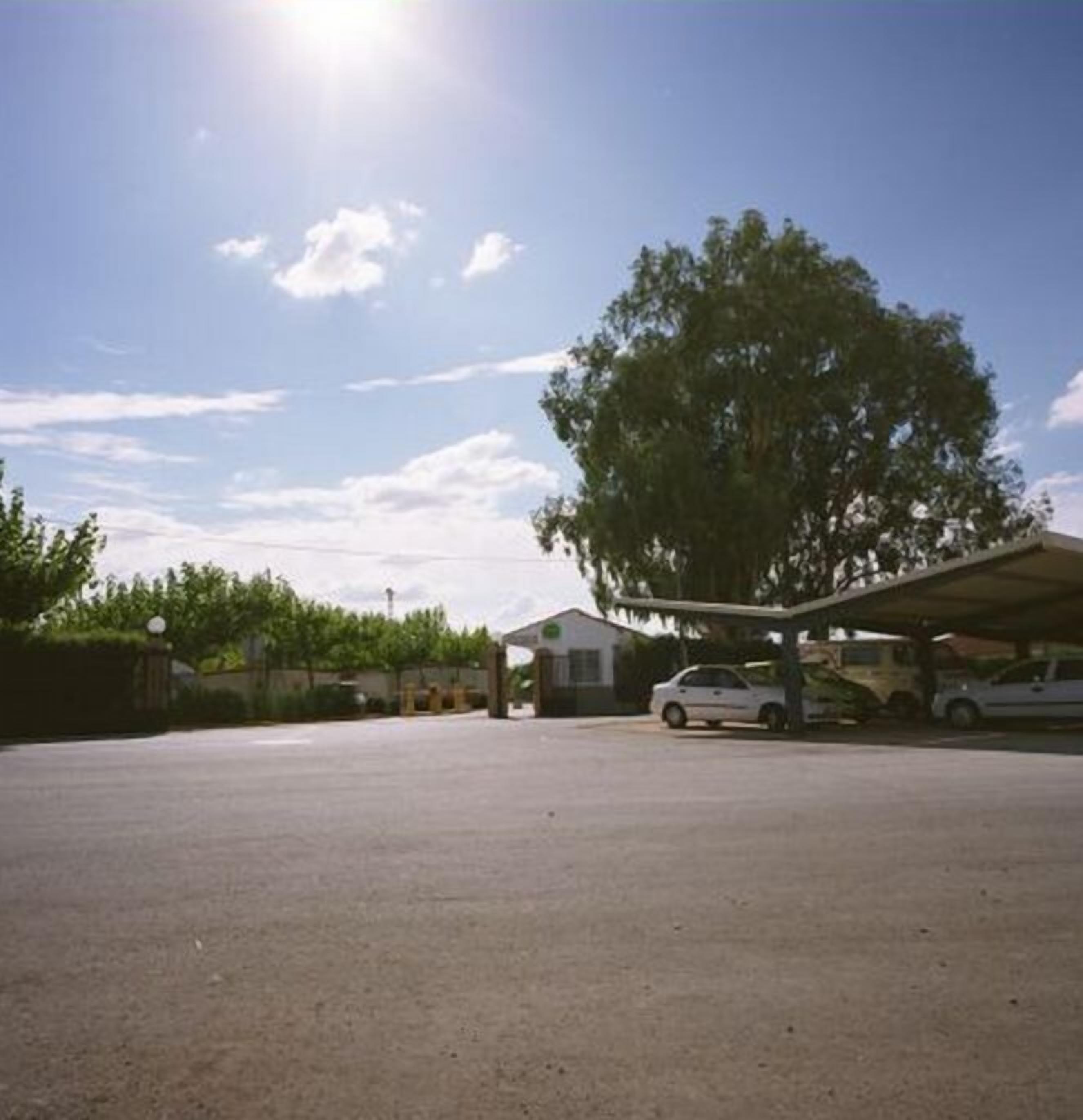 A parking lot with a covered car wash area, a building, and a large tree.
