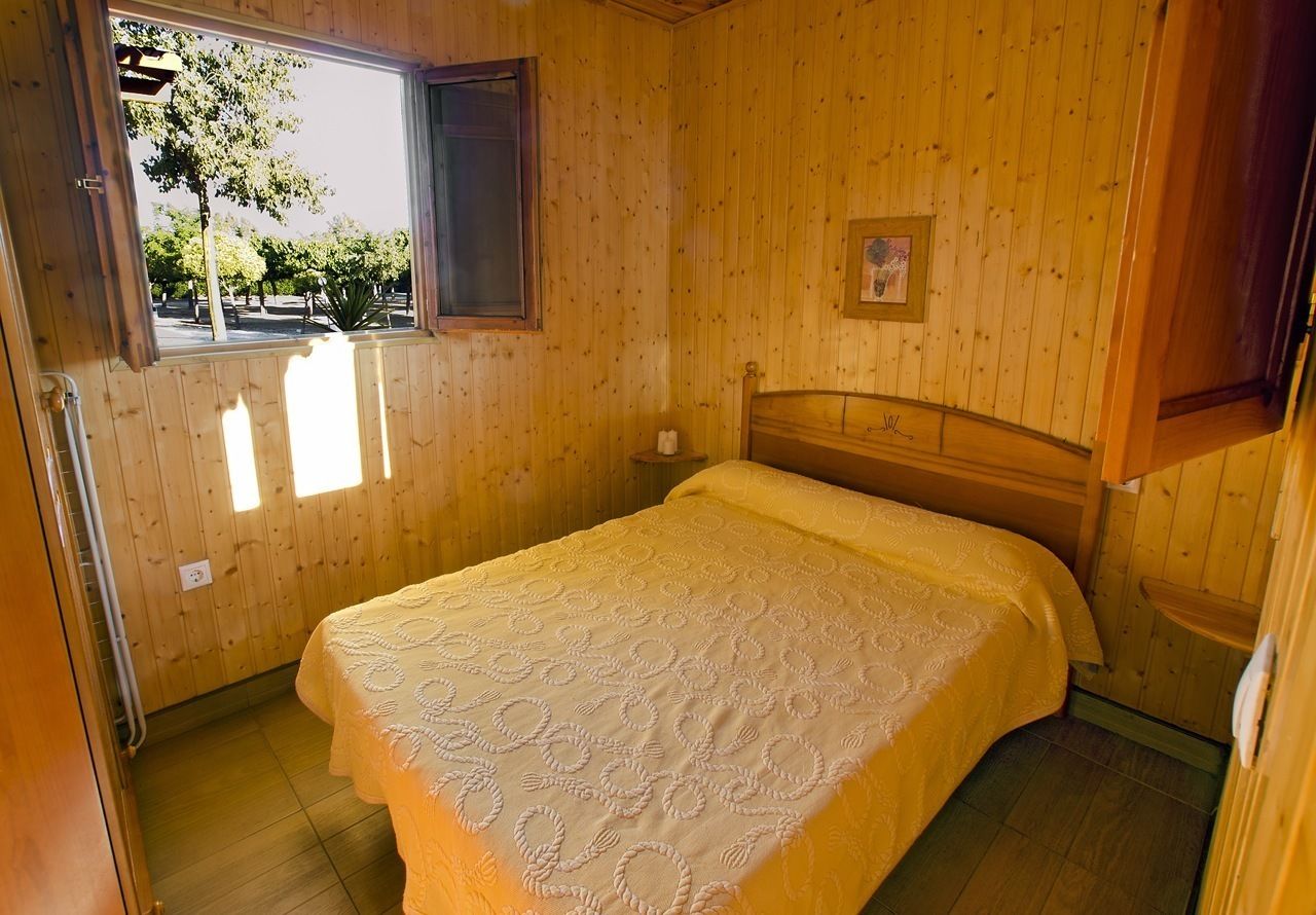 A wooden-paneled room with a bed, a window, and a small bedside table.
