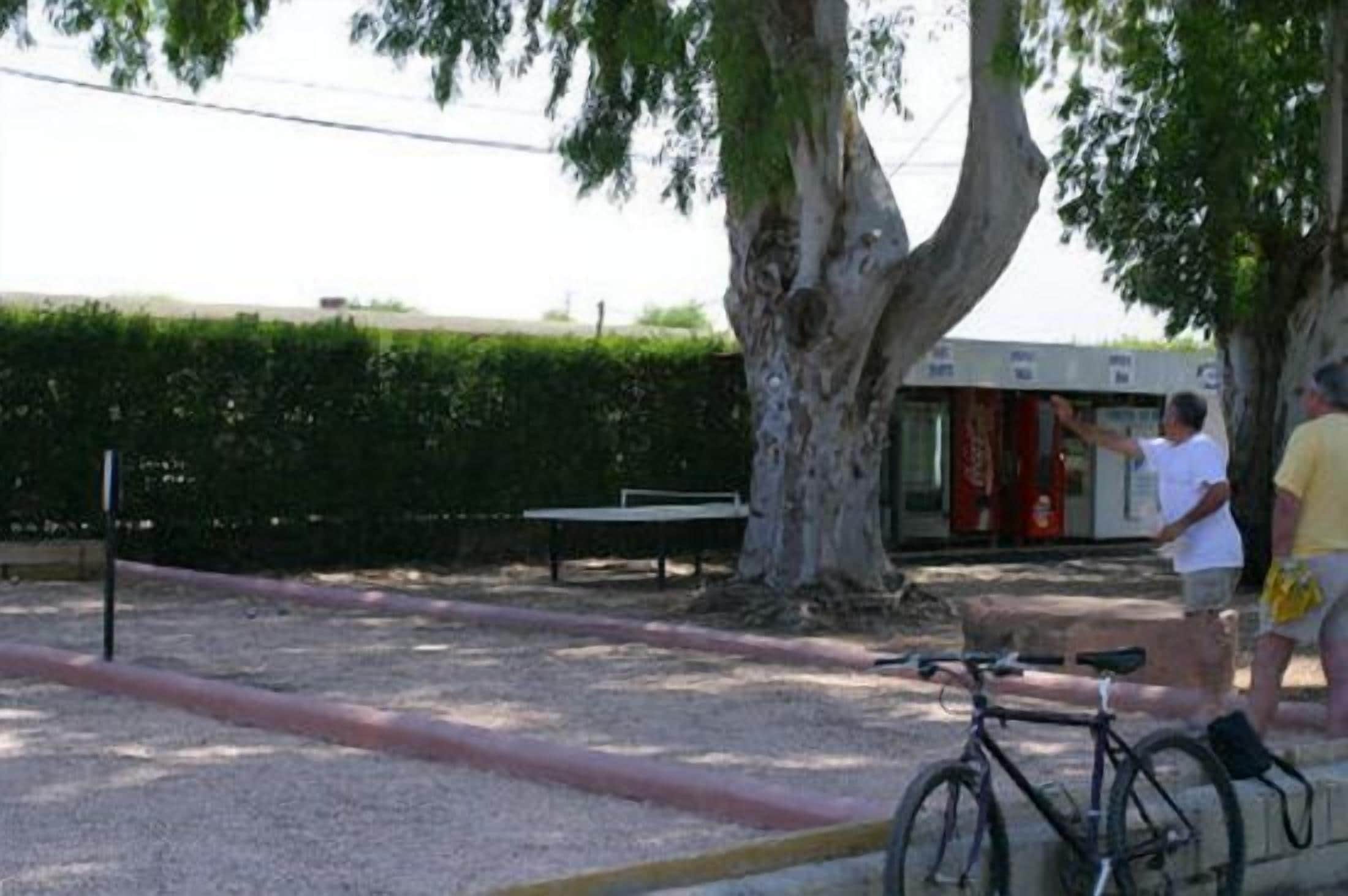 Un parc avec un grand arbre, un banc et un vélo.