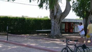 Un parc amb un arbre gran, una banca i una bicicleta.
