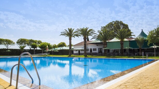 Una piscina cristalina con una escalera metálica, rodeada de palmeras y un edificio con techo verde.