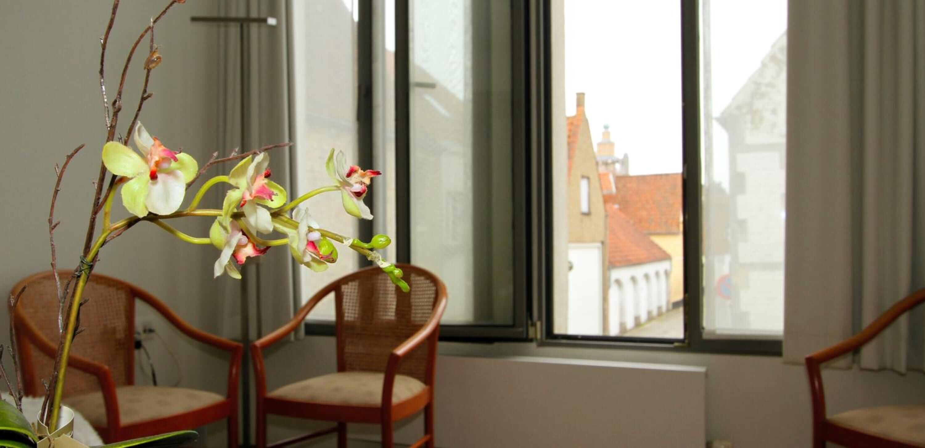 Une pièce avec une fenêtre donnant sur un immeuble, une chaise et un vase contenant des orchidées.