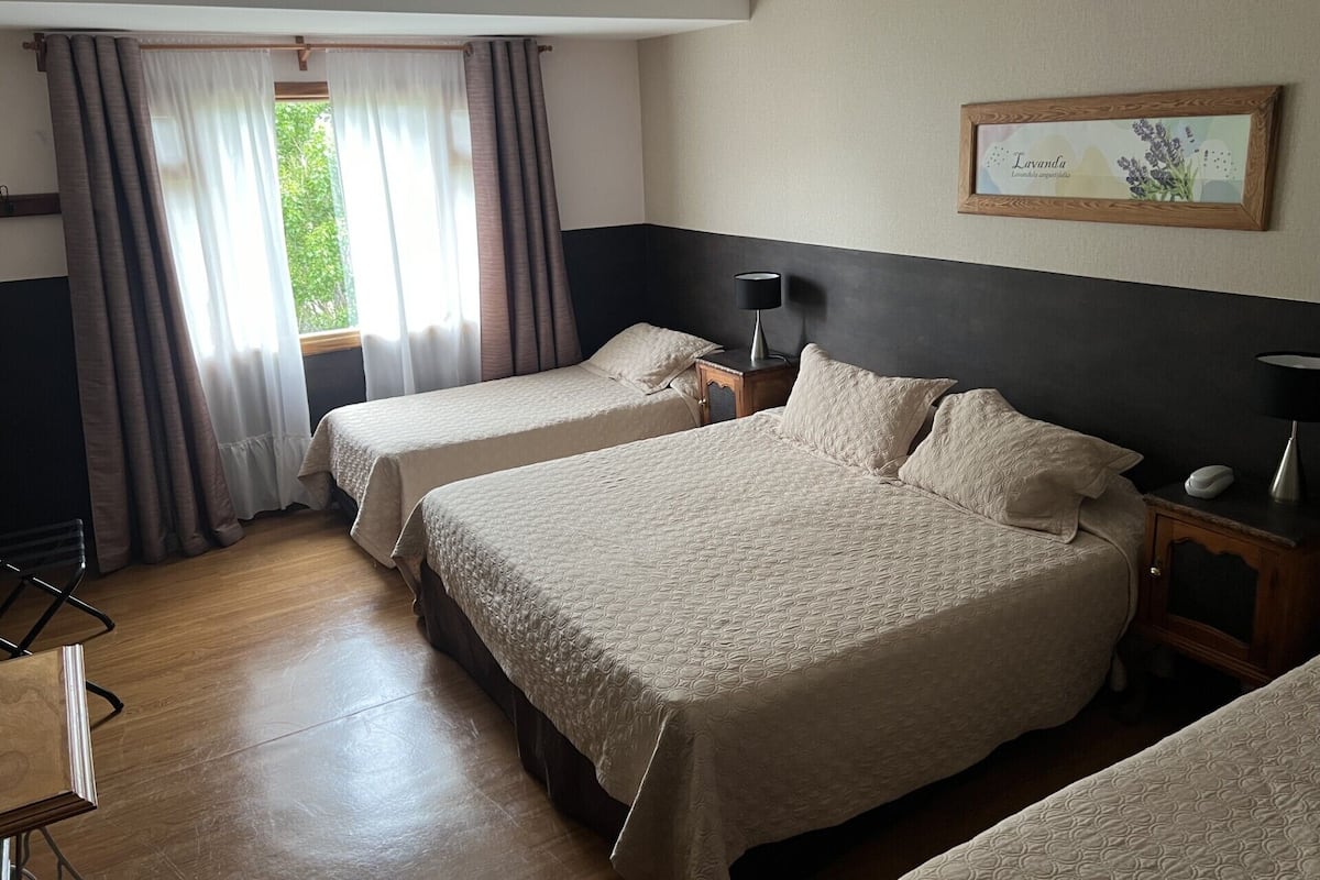 Habitación de hotel con dos camas, una ventana con cortinas, una mesita de noche con lámpara y un cuadro en la pared.