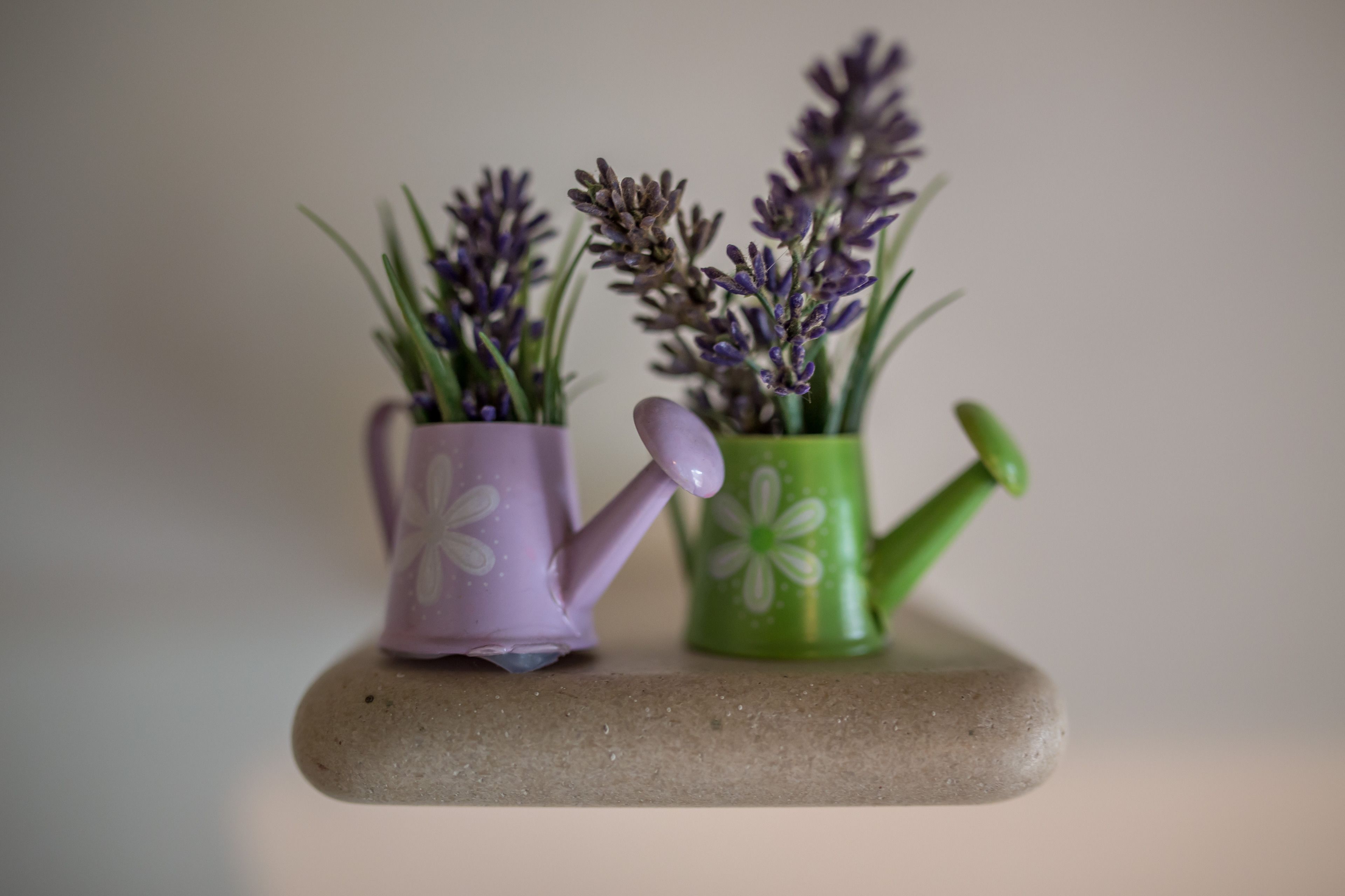 cottage, 1 bedroom (for 3 people) | desk, iron/ironing board, free wifi