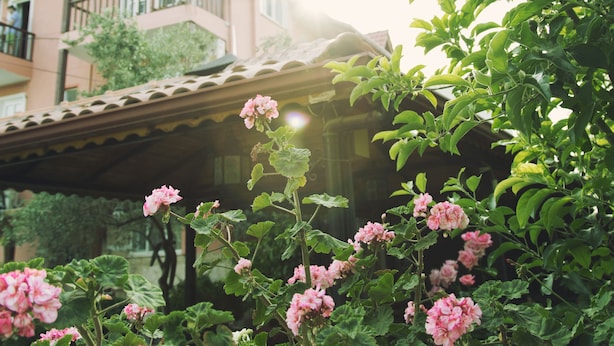 A building with a balcony and a garden with pink flowers. - Venus Hotel (Denizli)