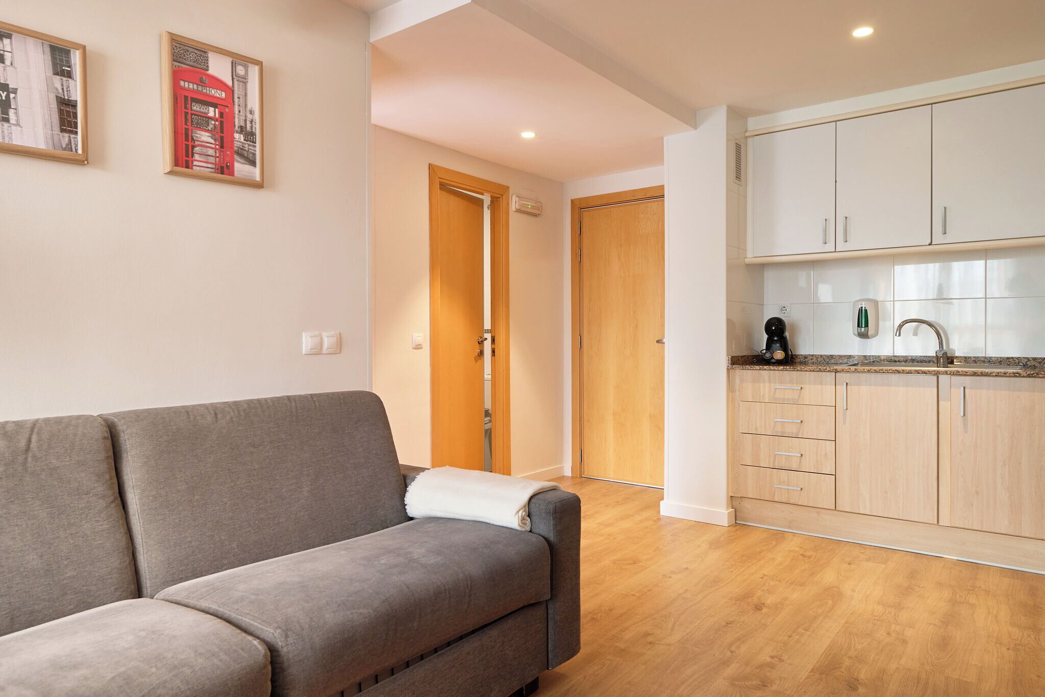 A modern living room with a grey sofa, a wooden door, and a kitchen area with cabinets and a countertop.